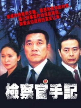 检察官手记_天天影视