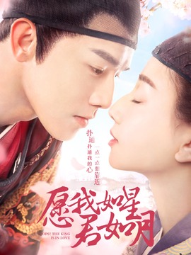 愿我如星君如月_天天影视