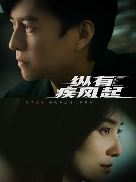 纵有疾风起_天天影视