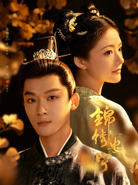 锦绣安宁_天天影视