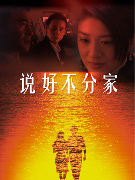 说好不分家_天天影视