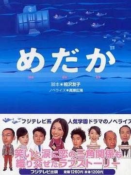 菜鸟老师来报到_天天影视