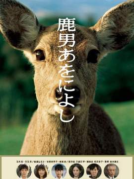 鹿男与美丽的奈良_天天影视