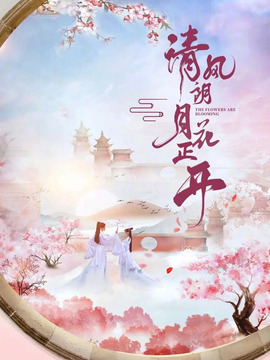 清风朗月花正开_天天影视