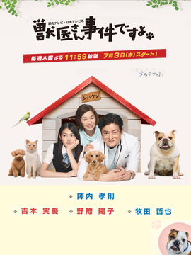 兽医先生，有事件啦_天天影视