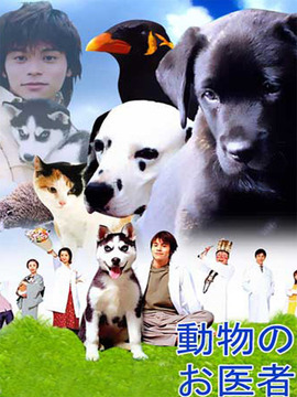 迷糊动物医生_天天影视