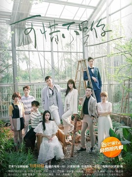 可惜不是你_天天影视