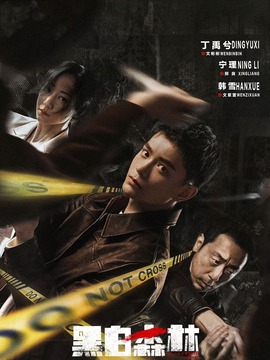 黑白森林_天天影视