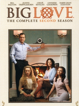 大爱第二季_天天影视