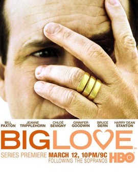 大爱第一季_天天影视