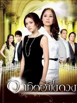 征服太阳_天天影视