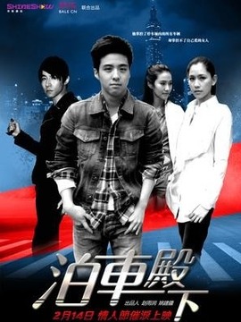 泊车殿下_天天影视