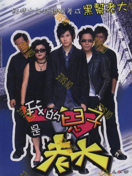 我的儿子是老大_天天影视