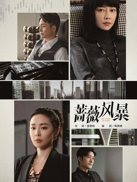 蔷薇风暴_天天影视